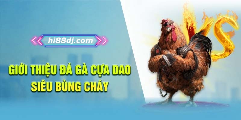 Giới thiệu đá gà cựa dao siêu bùng cháy
