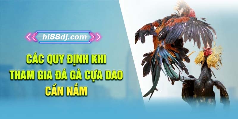 Các quy định khi tham gia đá gà cựa dao cần nắm
