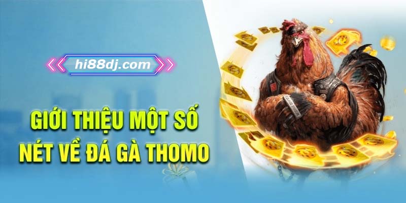 Giới thiệu một số đặc điểm nổi bật về đá gà Thomo