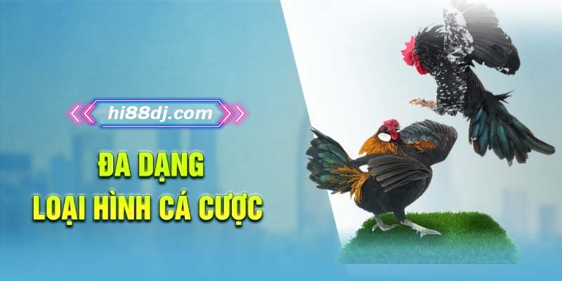 Nhiều hình thức cá cược đa dạng có sẵn